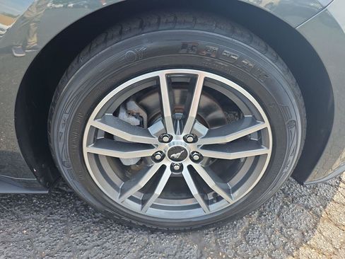 Used 2015 Ford Mustang Premium w/ Equipment Group 201A RWD image 16