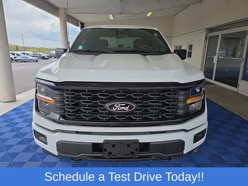 Used 2025 Ford F150 STX w/ STX Black Appearance Package AWD/4WD image 2
