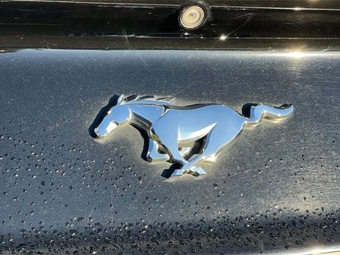 Used 2022 Ford Mustang Premium image 33