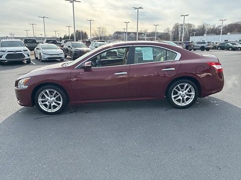 Used 2010 Nissan Maxima 3.5 SV w/ Cold Pkg image 15