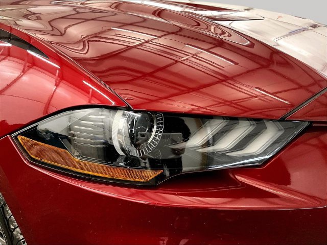 Used 2019 Ford Mustang Premium w/ Equipment Group 201A RWD image 27