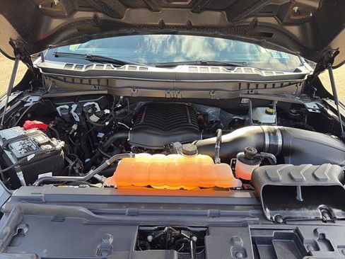 New 2026 Ford F150 STX w/ F-150 LOBO Package image 11