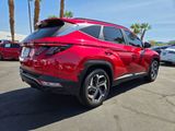 Used 2023 Hyundai Tucson SEL w/ Convenience Package image 6