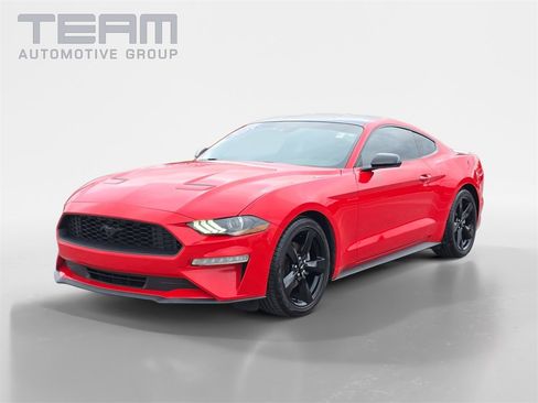 Used 2023 Ford Mustang Coupe w/ Equipment Group 101A image 3