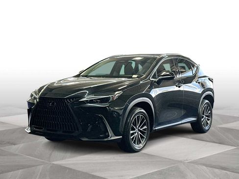 Used 2024 Lexus NX 250 FWD w/ Cold Area Package image 4