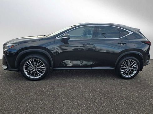 Certified 2022 Lexus NX 350h AWD image 6