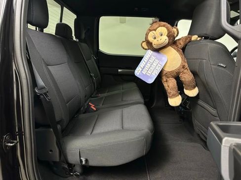 New 2023 Ford F150 XLT w/ Equipment Group 302A High image 16