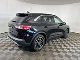 Used 2021 Ford Escape SE w/ Cold Weather Package image 3