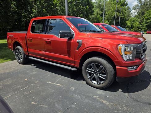 Used 2023 Ford F150 XLT w/ Equipment Group 302A High AWD/4WD image 5