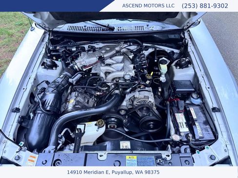 Used 2000 Ford Mustang Coupe image 15