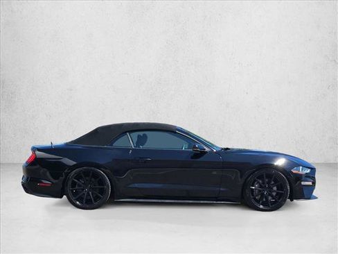 Used 2019 Ford Mustang Premium w/ Ecoboost Performance Package RWD image 9