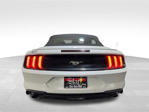 Used 2019 Ford Mustang Premium w/ Equipment Group 201A image 6