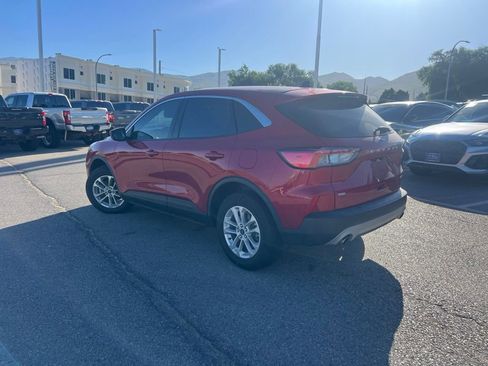 Used 2020 Ford Escape SE AWD/4WD image 11