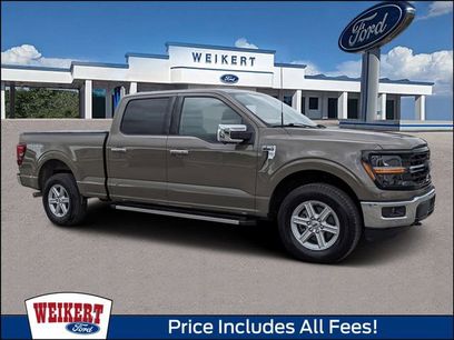 Used 2025 Ford F150 XLT w/ Equipment Group 302A MID