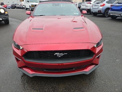 Used 2021 Ford Mustang Premium w/ Equipment Group 201A image 6