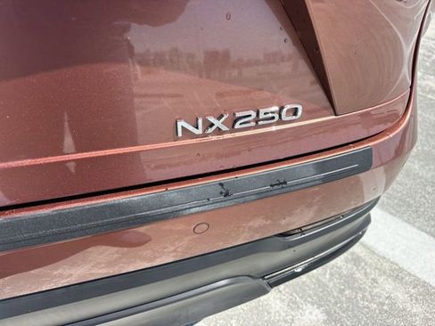 Used 2025 Lexus NX 250 FWD w/ Accessory Package (Z2) image 25