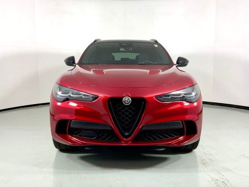Used 2024 Alfa Romeo Stelvio Quadrifoglio w/ Active Assist Plus Package AWD/4WD image 5