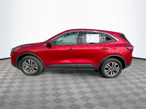 Used 2022 Ford Escape SEL image 4