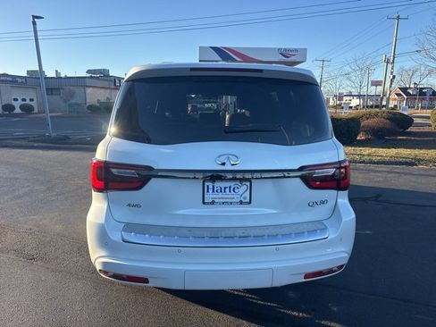 Certified 2024 INFINITI QX80 Sensory image 5