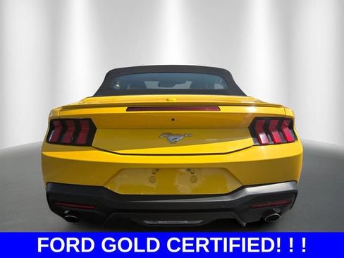 Certified 2024 Ford Mustang Premium RWD image 4