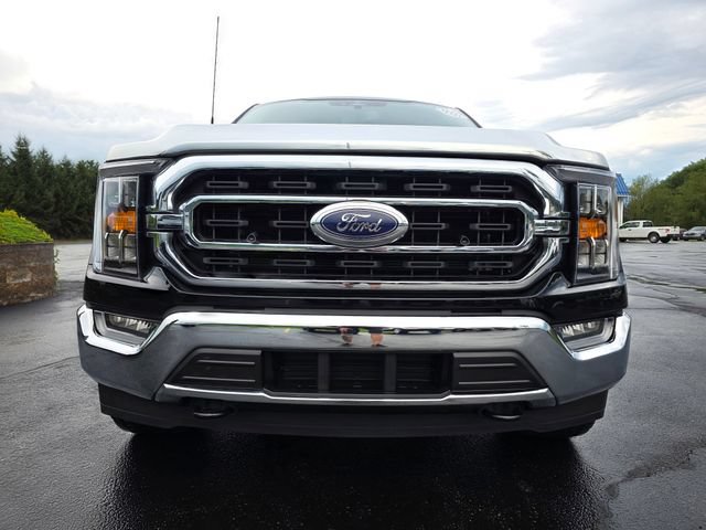 Used 2023 Ford F150 XLT w/ Equipment Group 302A High AWD/4WD image 11