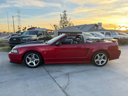 Used 2001 Ford Mustang Cobra image 12