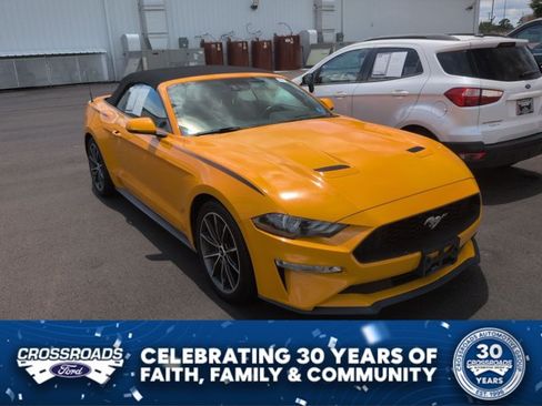 Certified 2019 Ford Mustang Premium w/ Equipment Group 201A RWD image 1