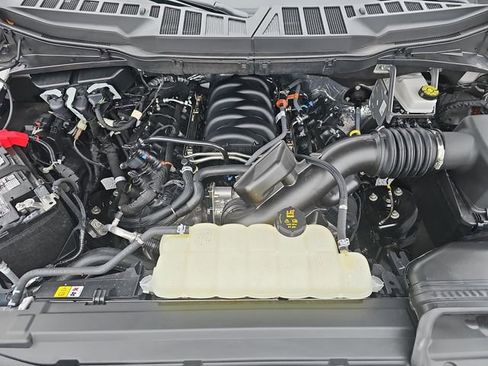 Used 2025 Ford F150 XLT w/ Equipment Group 301A Standard image 29