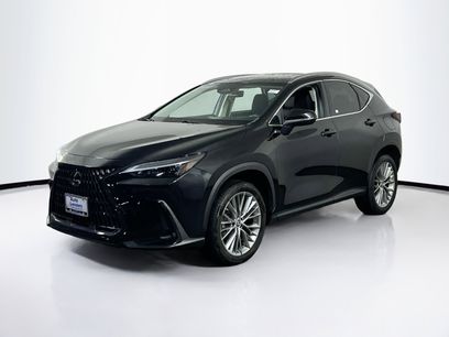 Used 2023 Lexus NX 350h AWD