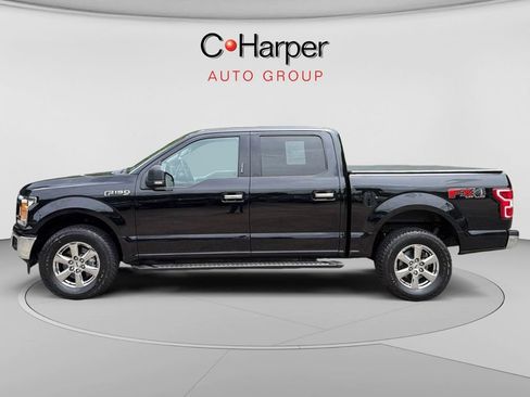 Used 2019 Ford F150 XLT w/ Equipment Group 302A Luxury AWD/4WD image 5