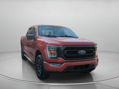 Certified 2023 Ford F150 XLT w/ Equipment Group 302A High