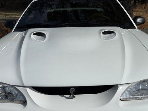 Used 1997 Ford Mustang Cobra image 15