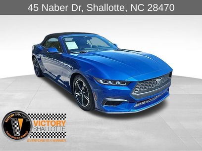 Used 2024 Ford Mustang Premium