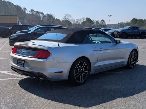 Used 2019 Ford Mustang Premium image 9