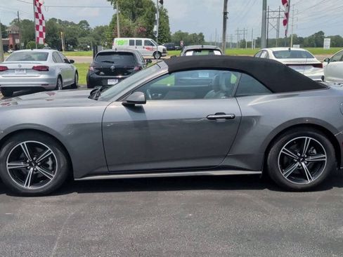 Used 2024 Ford Mustang Premium RWD image 5