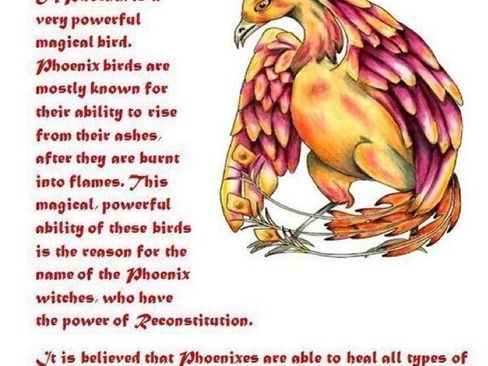 Used 2017 Buick Regal Sport Touring image 42