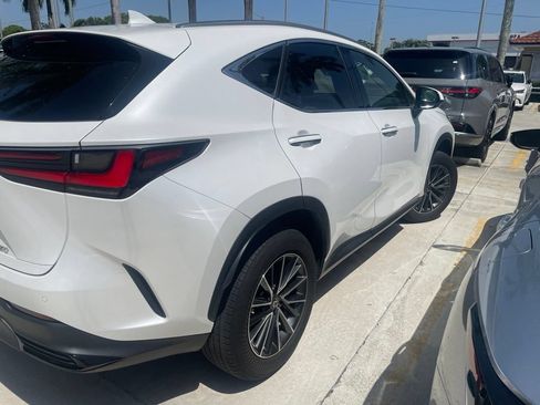 Used 2024 Lexus NX 250 FWD image 5