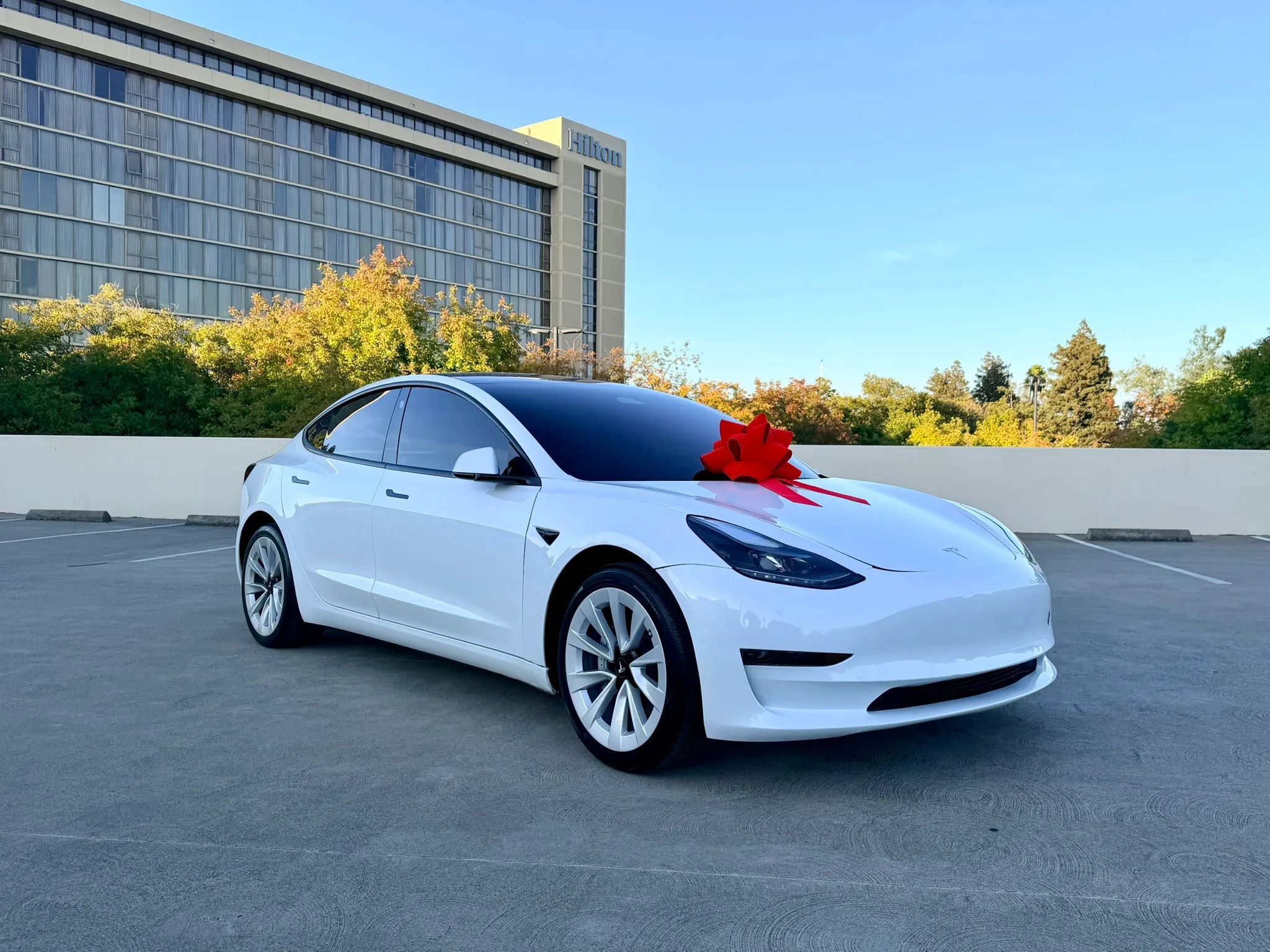 Used 2023 Tesla Model 3 Standard Range RWD image 1