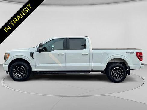 Used 2023 Ford F150 XLT w/ Equipment Group 302A High AWD/4WD image 2
