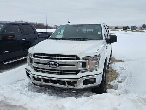 Used 2019 Ford F150 XLT w/ Equipment Group 302A Luxury image 2