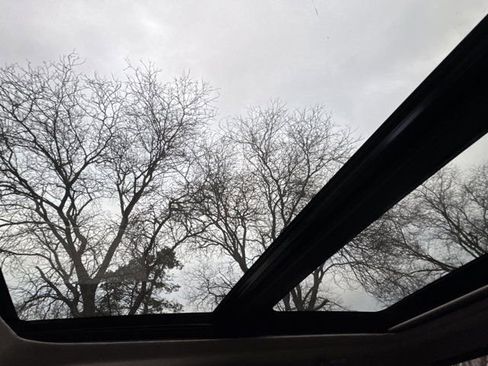 Used 2019 Ford F150 Limited image 48