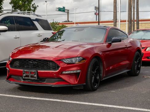 Used 2023 Ford Mustang Coupe w/ Equipment Group 101A RWD image 3