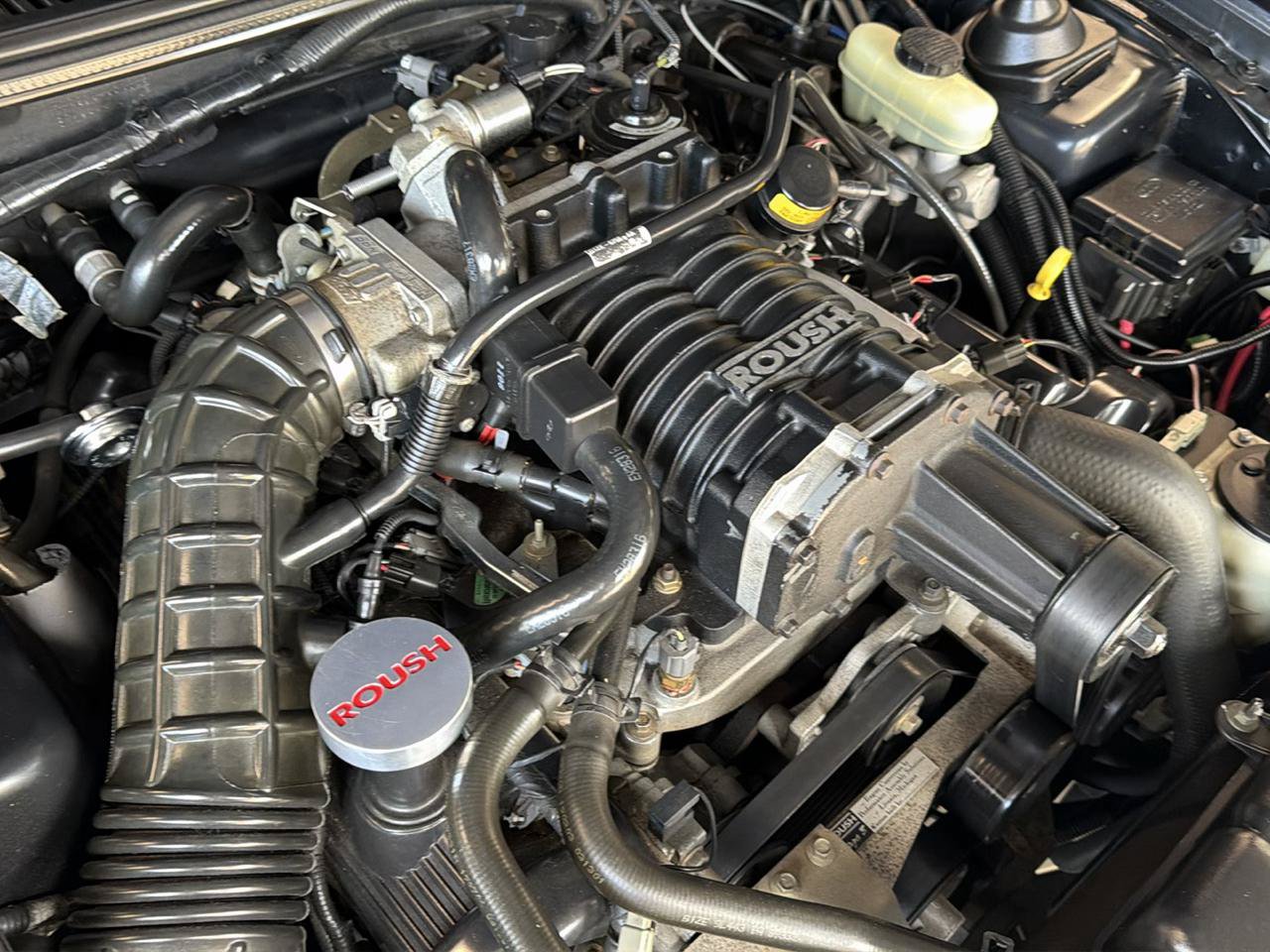 Used 2001 Ford Mustang GT RWD image 32
