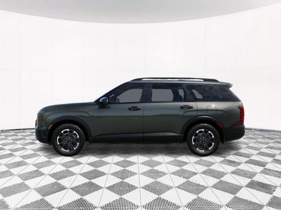 Used 2026 Hyundai Palisade XRT Pro