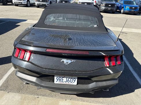 Used 2025 Ford Mustang Premium RWD image 3