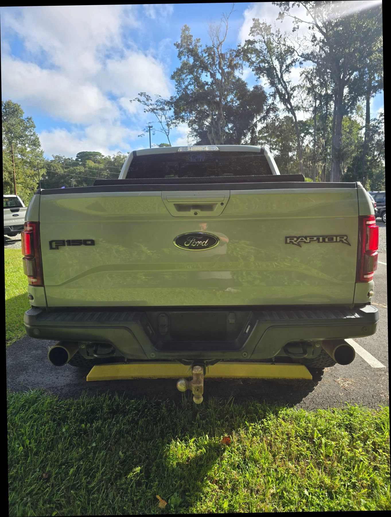 Used 2017 Ford F150 Raptor w/ Equipment Group 802A Luxury AWD/4WD image 7