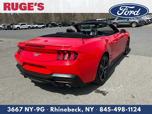 Used 2025 Ford Mustang Premium image 3