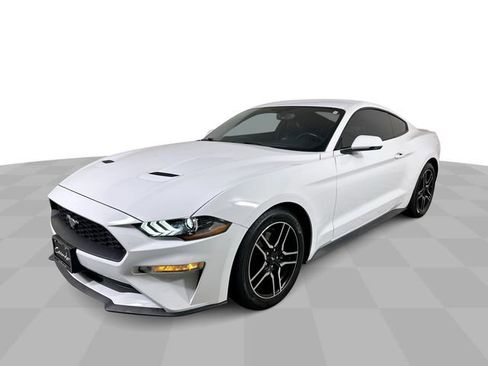 Used 2019 Ford Mustang Premium w/ Equipment Group 201A RWD image 1