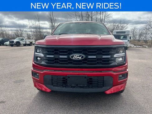 New 2025 Ford F150 STX w/ LOBO Package image 9