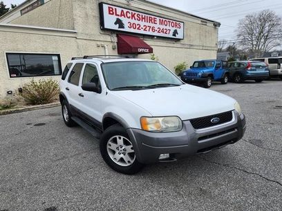 Used 2004 Ford Escape XLT